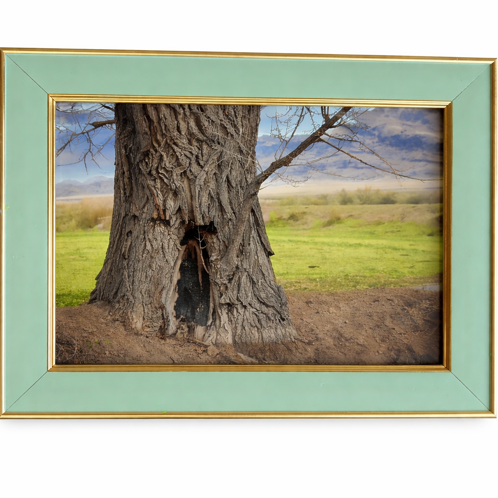 Teal & Gold 5x7 Frame – Second Story Vintage Find